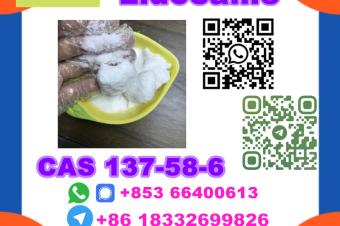  Manufacturer Supply Raw Material CAS 137586 Lidocaine